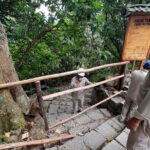 Acceso peatonal a Machu Picchu es cerrado