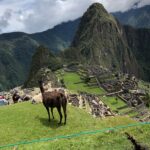 Machu Picchu 2021